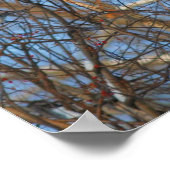 ウィンターロビンズスノーイネスト ポスター (角)