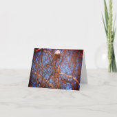 ウィンターロビンズワイルドライフ自然ノートカード カード (正面)