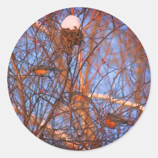 ウィンターロビンズワイルドライフ自然 ラウンドシール (正面)