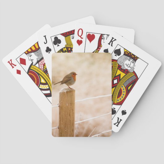 ウィンターロビンレッドバスト トランプ (裏面)