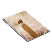 ウィンターロビンレッドバスト ノートブック (右側)