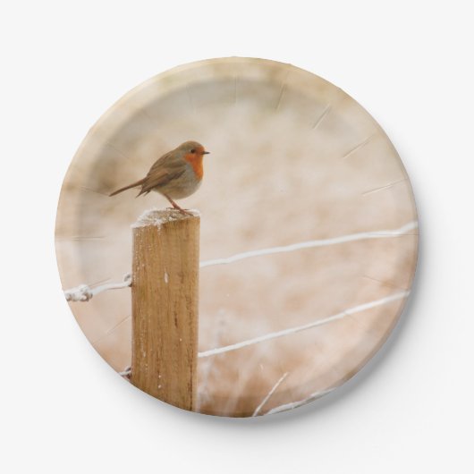 ウィンターロビンレッドバスト ペーパープレート (正面)