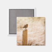 ウィンターロビンレッドバスト マグネット (正面/裏面)