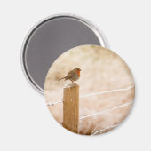 ウィンターロビンレッドバスト マグネット (正面/裏面)