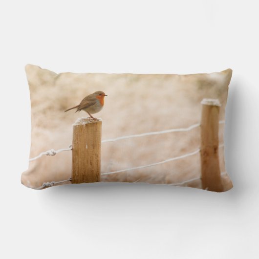 ウィンターロビンレッドバスト ランバークッション (正面)