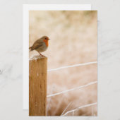 ウィンターロビンレッドバスト 便箋 (正面/裏面)