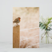 ウィンターロビンレッドバスト 便箋 (スタンド正面)