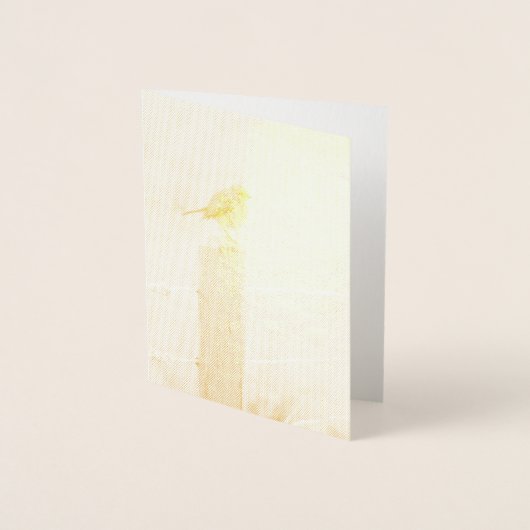 ウィンターロビンレッドバスト 箔カード (正面)