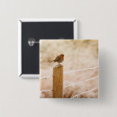 ウィンターロビンレッドバスト 缶バッジ (正面&裏面)