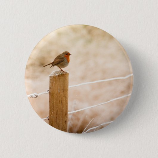 ウィンターロビンレッドバスト 缶バッジ (正面)