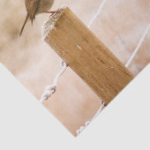 ウィンターロビンレッドバスト 薄葉紙 (詳細)