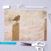 ウィンターロビンレッドバスト 薄葉紙 (クラフト)