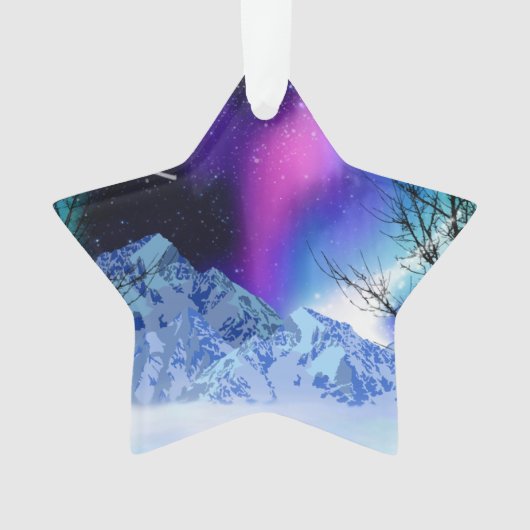 ウィンターワンダーライツオーナメント オーナメント (正面)