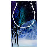 ウィンターワンダーライトズスモール抱き枕 スモールペーパーバッグ (裏面)