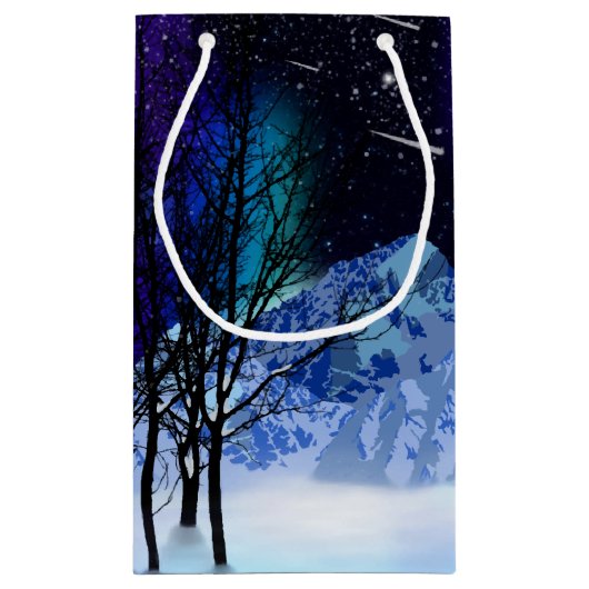 ウィンターワンダーライトズスモール抱き枕 スモールペーパーバッグ (裏面)