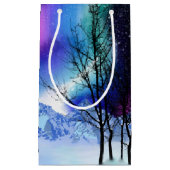 ウィンターワンダーライトズスモール抱き枕 スモールペーパーバッグ (正面)