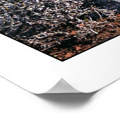 ウィンターワンダーランドへの玄関口 ポスター (角)