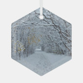 ウィンターワンダーランドスノーオーナメント ガラスオーナメント (正面)