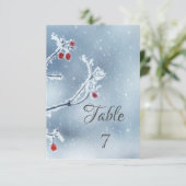 ウィンターワンダーランドブランズブルー 招待状 (スタンド正面)