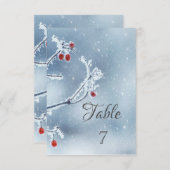 ウィンターワンダーランドブランズブルー 招待状 (正面/裏面)