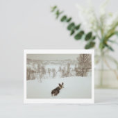 ウィンターワンダーランドホリデーハガキ シーズンポストカード (スタンド正面)