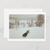 ウィンターワンダーランドホリデーハガキ シーズンポストカード (正面/裏面)