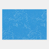 ウィンターワンダーランドレッド（鳥）ショウジョウコウカンチョウオーナメント ラッピングペーパーシート (正面3)