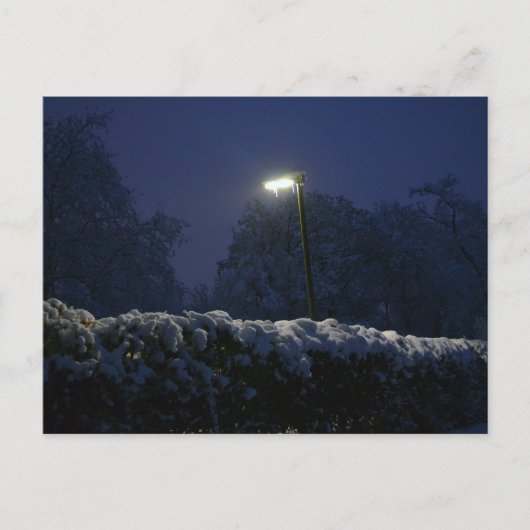 ウィンターワンダーランド通り ポストカード (正面)