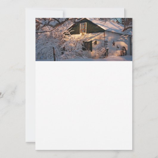 ウィンターワンダーランド (正面)