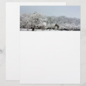 ウィンターワンダーランド (正面/裏面)