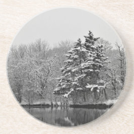 ウィンターワンダーランド コースター