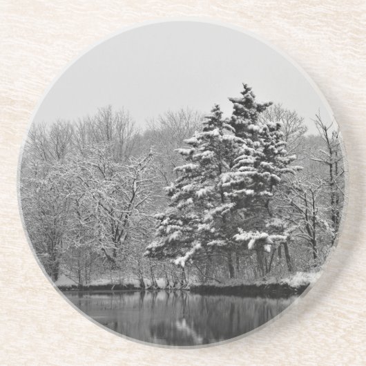 ウィンターワンダーランド コースター (正面)