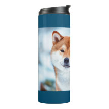 ウィンターワンダーランド