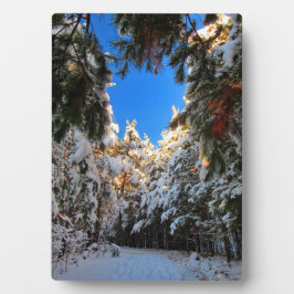 ウィンターワンダーランド フォトプラーク