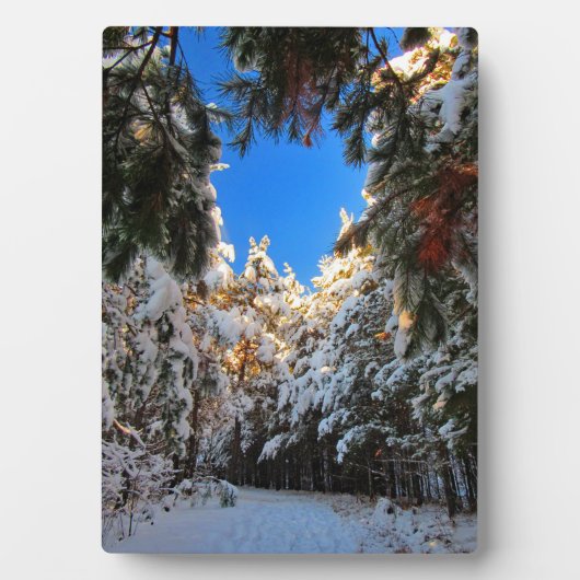 ウィンターワンダーランド フォトプラーク (正面)