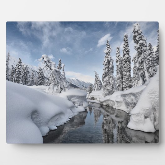 ウィンターワンダーランド フォトプラーク (正面)