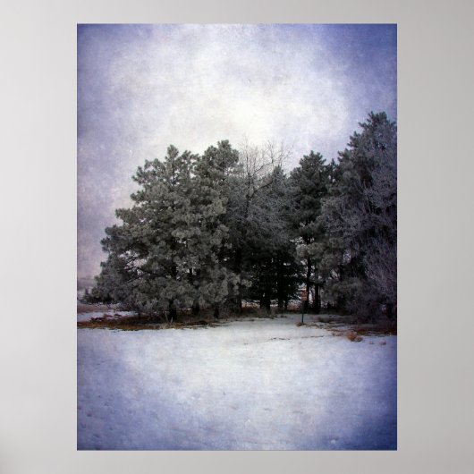 ウィンターワンダーランド ポスター (正面)