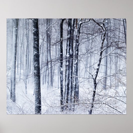 ウィンターワンダーランド ポスター (正面)