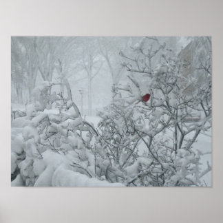 ウィンターワンダーランド ポスター