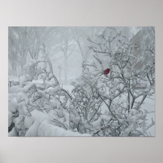 ウィンターワンダーランド ポスター (正面)