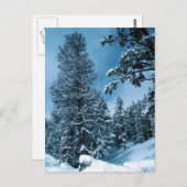ウィンターワンダーランド ポストカード (正面/裏面)