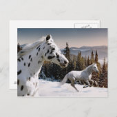 ウィンターワンダーランド ポストカード (正面/裏面)