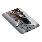 ウィンターワンダーランド マグネット (右側)