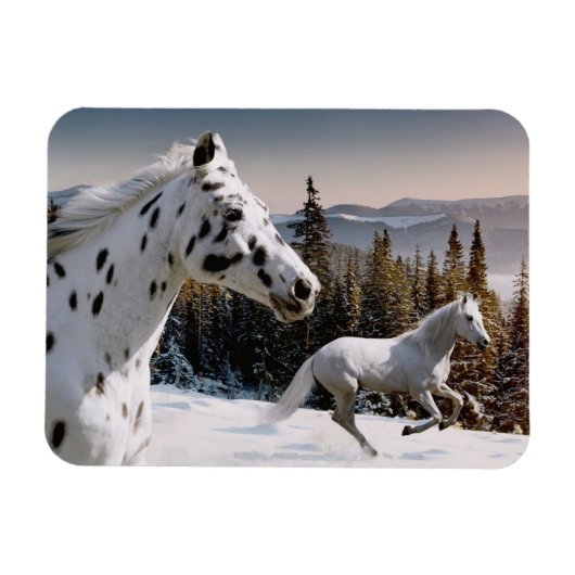 ウィンターワンダーランド マグネット (横)