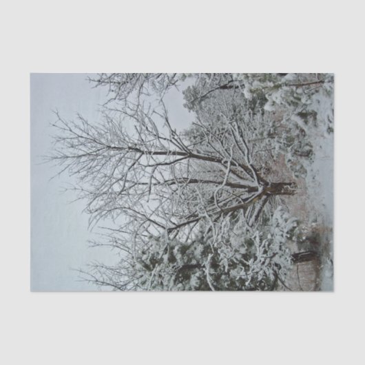 ウィンターワンダーランド 薄葉紙 (正面)