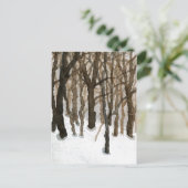 "ウィンター・ウッズ』カントリー・ロードのポストカード ポストカード (スタンド正面)