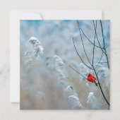 ウィンター カーディナル 招待状 (正面)