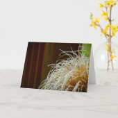 ウィンター フリーズ, カード (黄色い花)