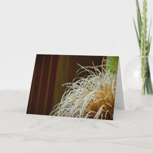 ウィンター フリーズ, カード (正面)