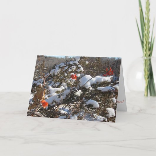 「ウィンター・ブロッサム」 クリスマスカード カード (正面)